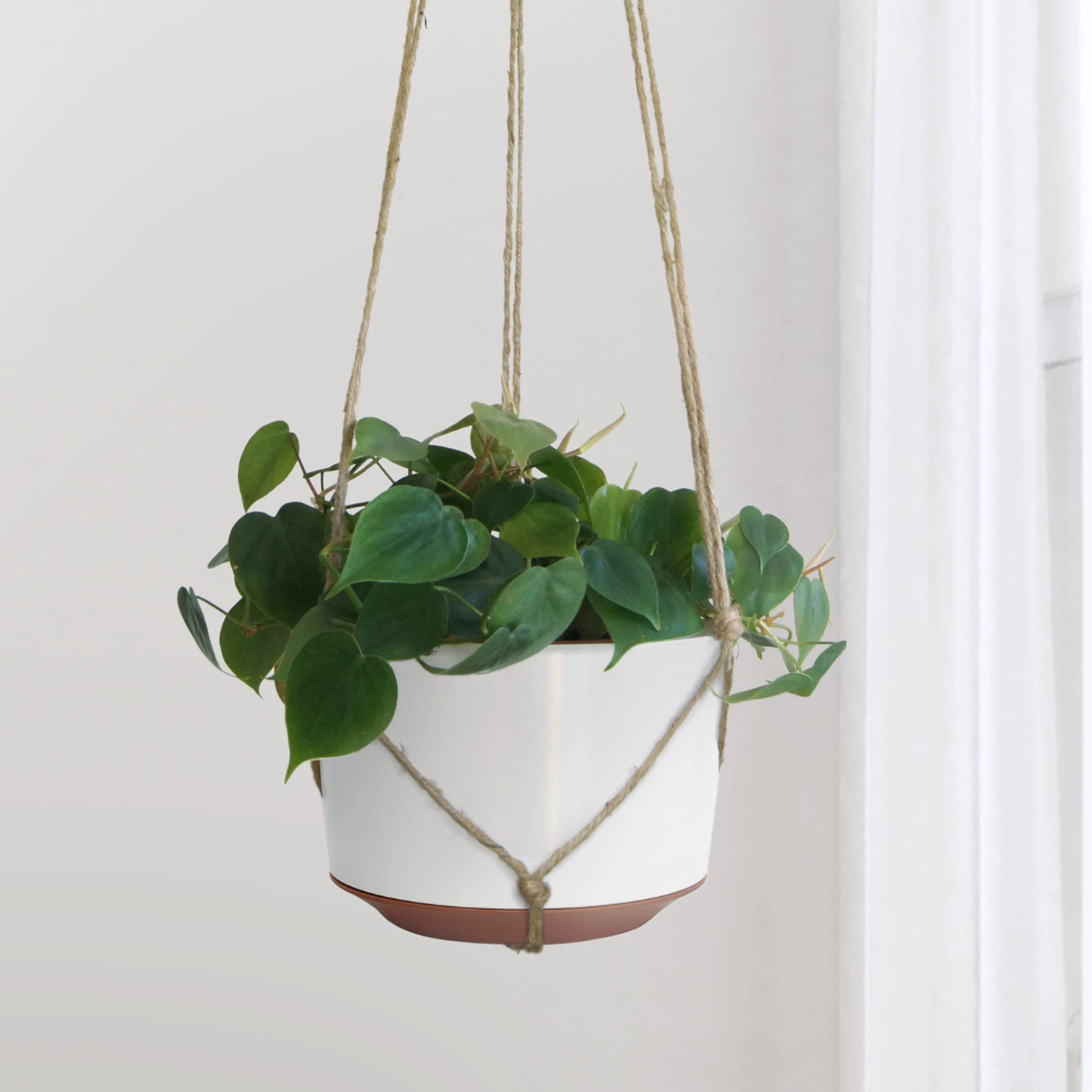 Hanging Flower Pot